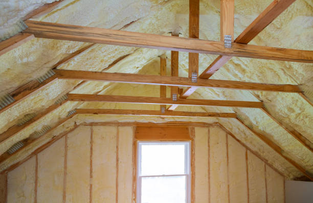 Best Geographic-Specific Insulation Services in Ddleville, MI