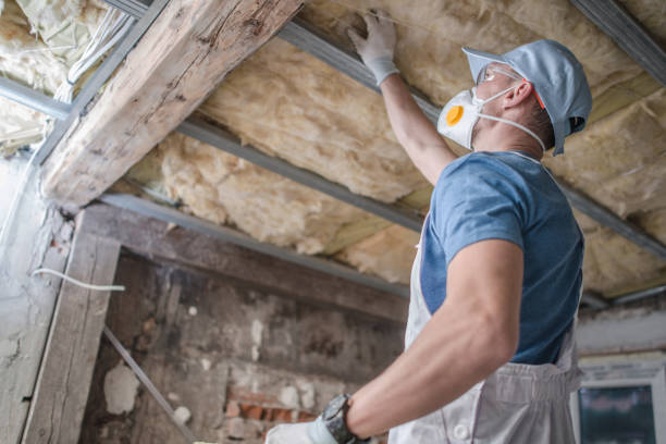 Best Residential Insulation in Ddleville, MI