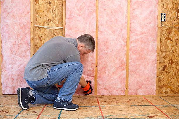 Best DIY Insulation Kits and Guidance in Ddleville, MI